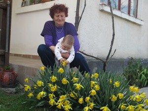 terebesti-primavara-dora