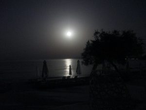 moonrise-01